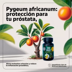 Pygeum